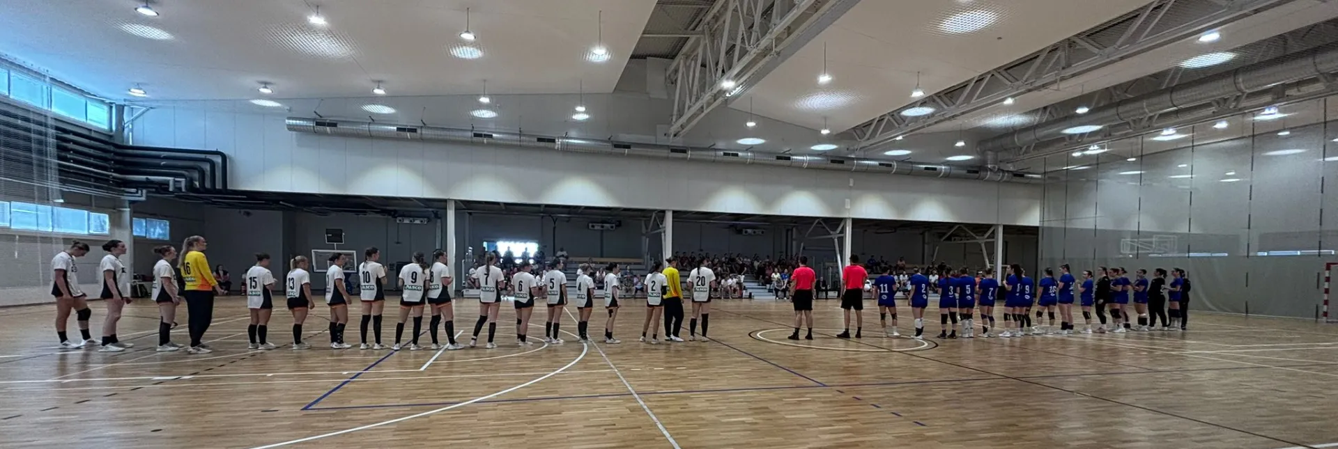 Beide Mannschaften bei der Hymne. - Foto: DHB