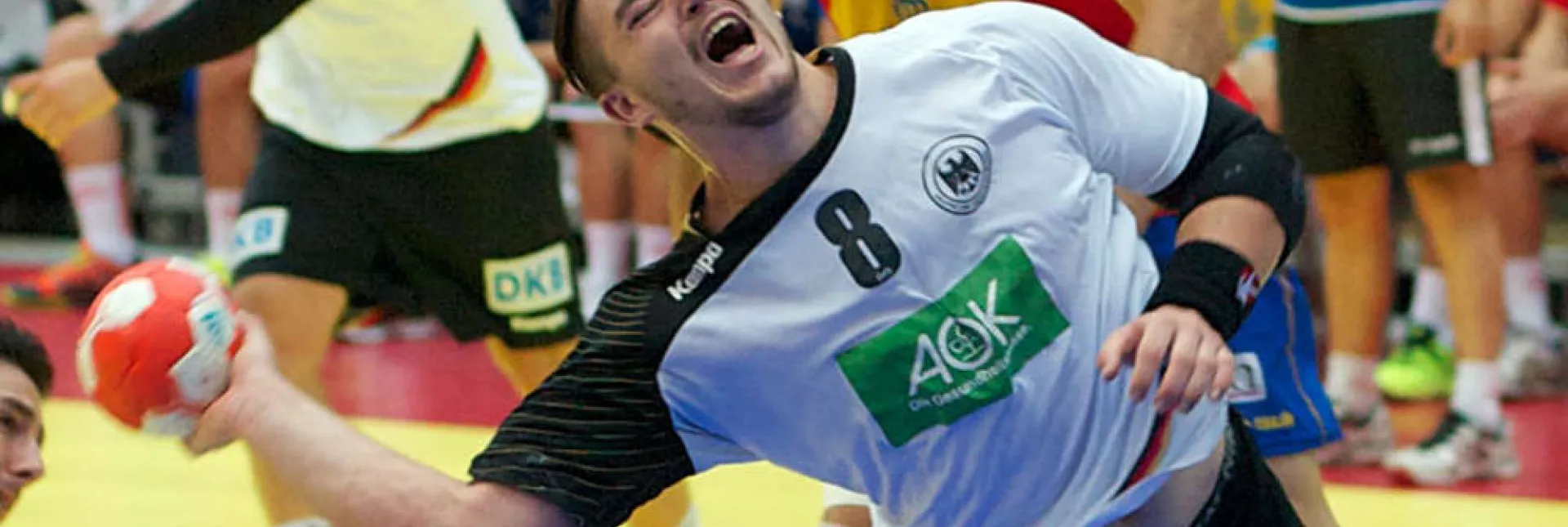 93402226c507784.jpg