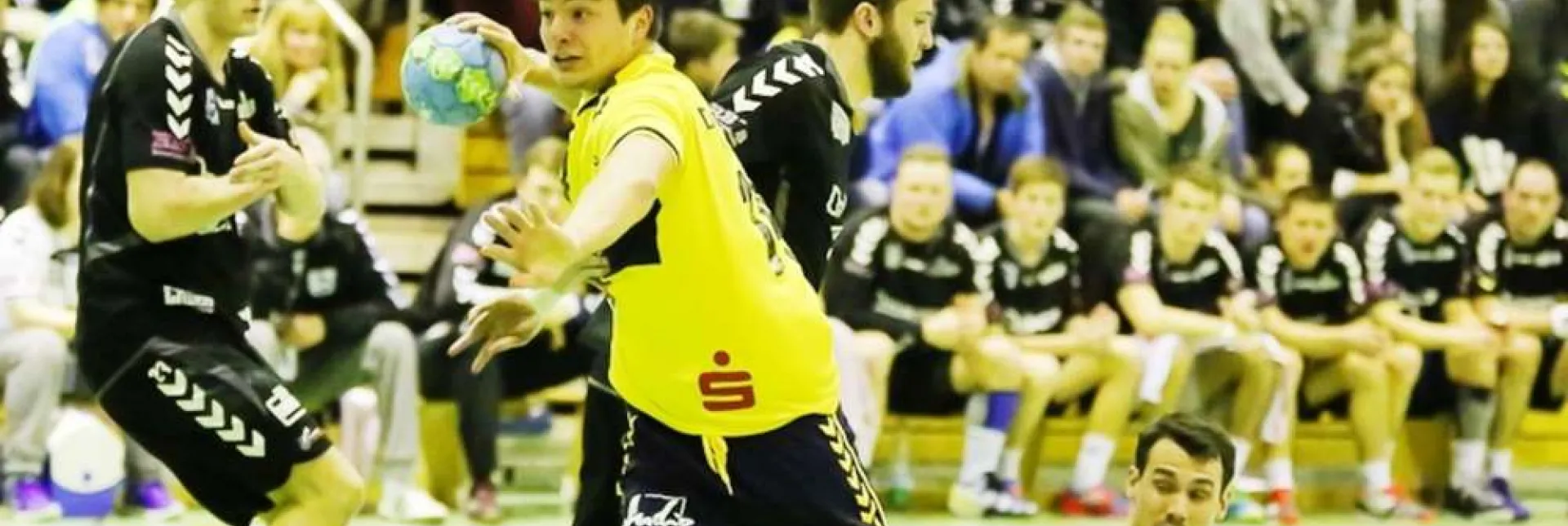 ae508b13f2d3a28.jpg