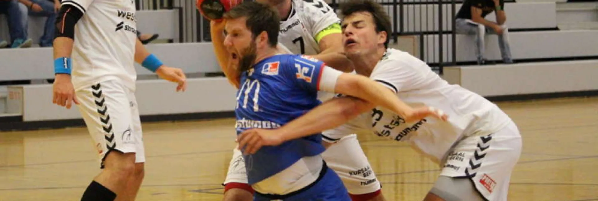 efb05841059c46a.jpg
