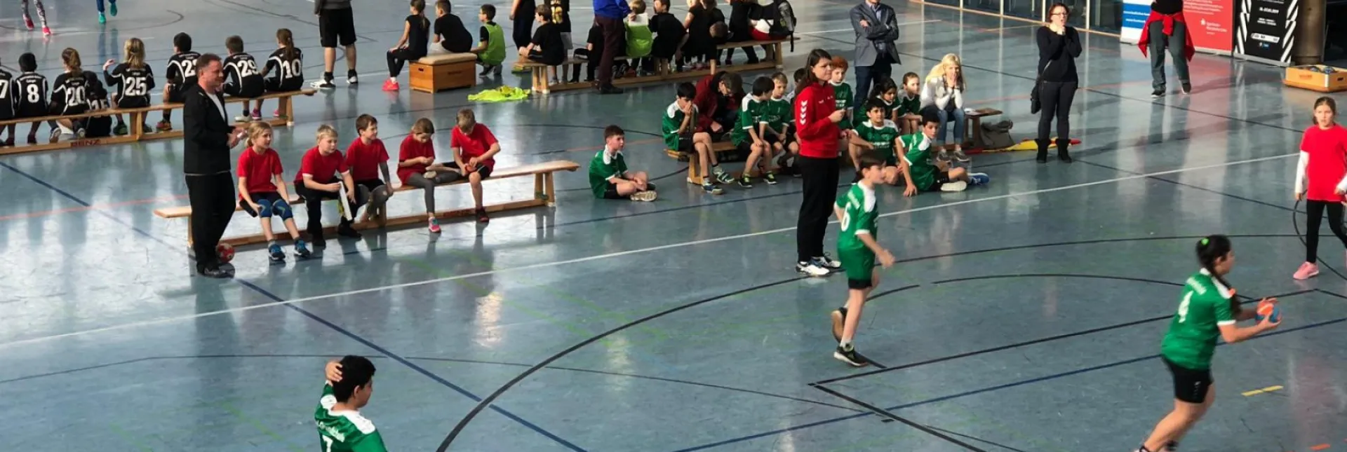 2019-01-25-Handball-WM-des-Badischen-Handball-Verbandes-4-.jpg