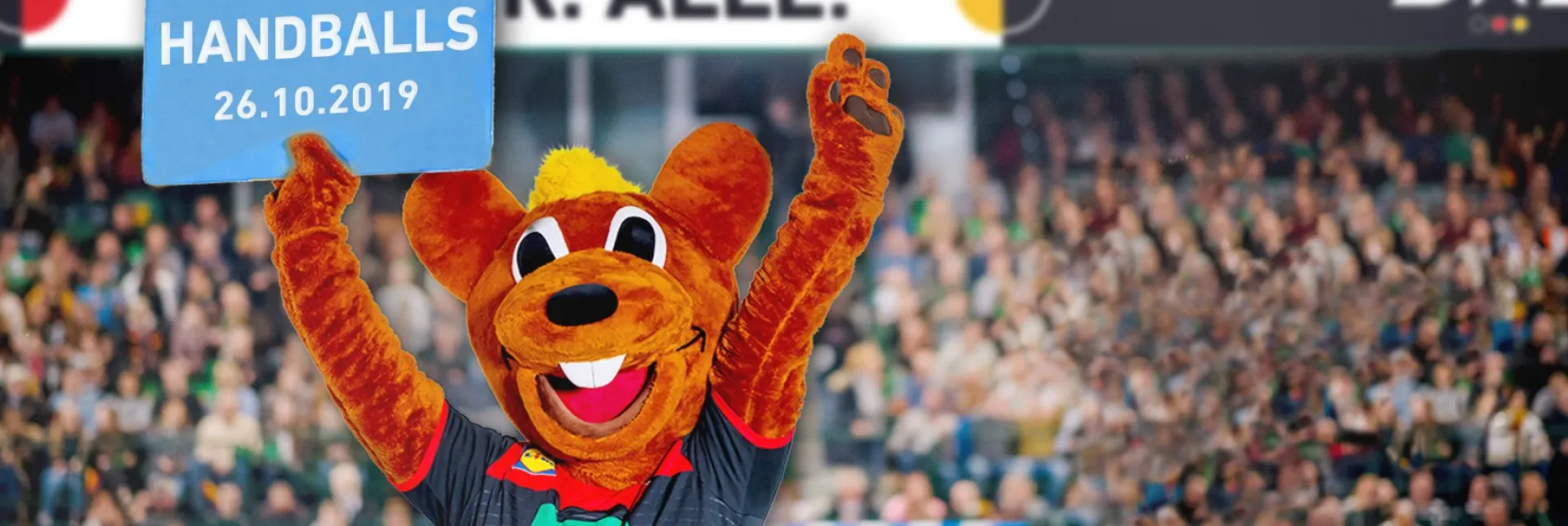190709_KLAHN_13-04-19_631882_Tag-des-Handballs_16zu9.jpg