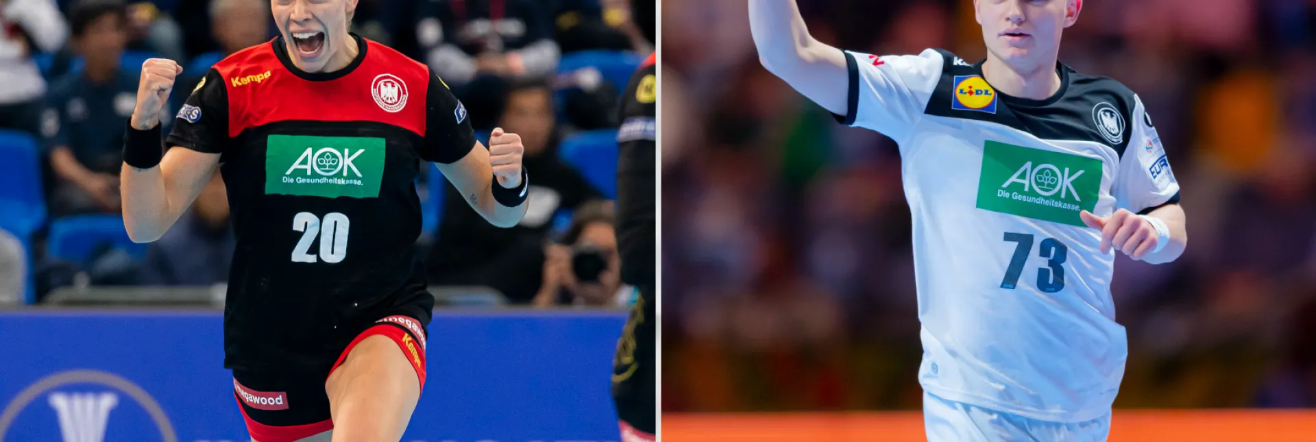 HandballerdesJahres.png HandballerdesJahres.png