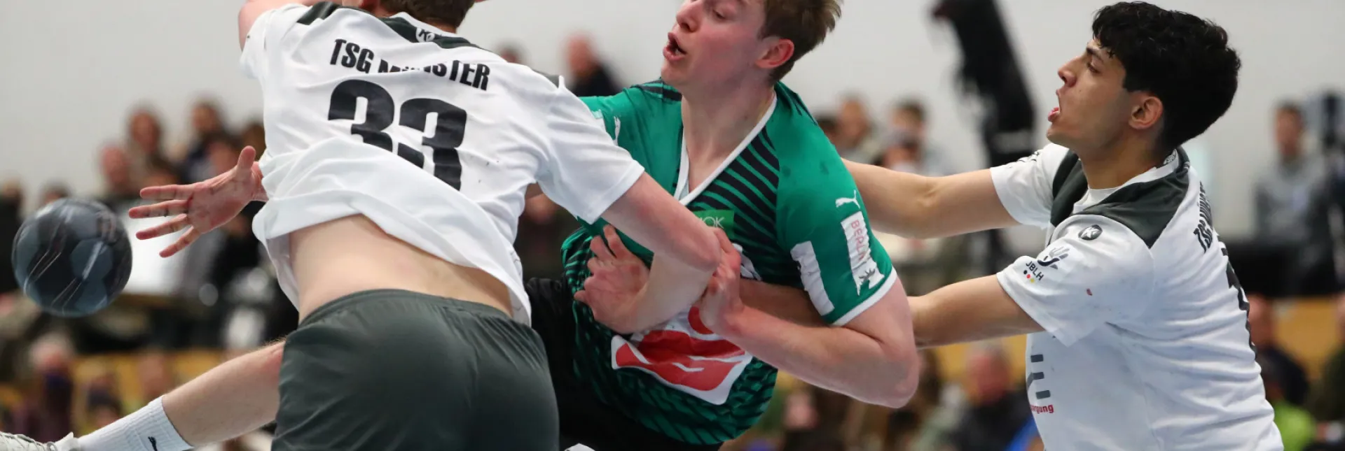 Sauter1.jpg Sauter1.jpg