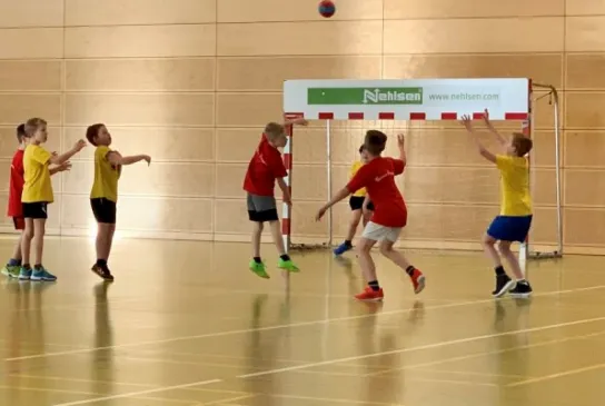 Handball-Minis-2-3695514.jpg Handball-Minis-2-3695514.jpg